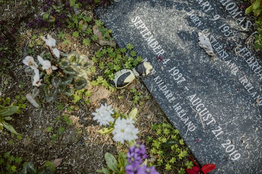 The Predictive Pulse: Unpacking the Implications of TV Show Season Finale Predictions