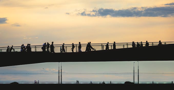 When a Traffic Ticket Becomes More Than Just a Fine: Decoding the Role of a Traffic Violation Lawyer