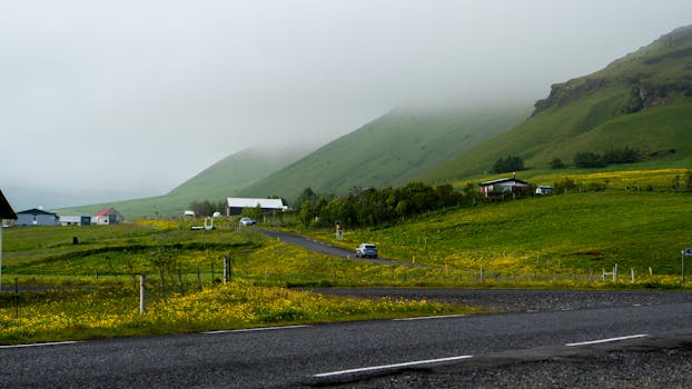 Beyond the Blame Game: Understanding the Indispensable Role of a Distracted Driving Attorney