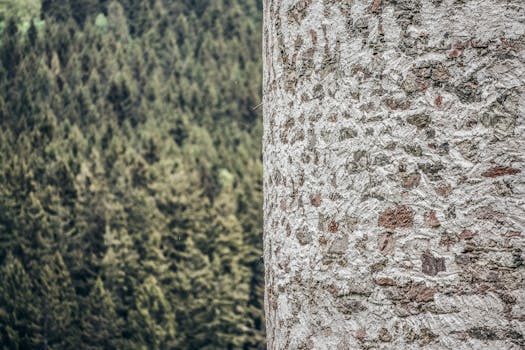 Breathe Easy: Navigating the Hidden Hazards of Toxic Building Materials