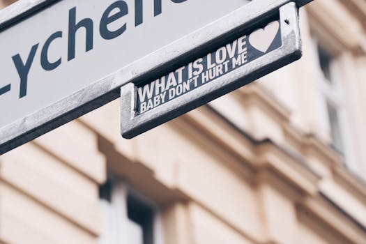 The Unseen Architects: Deconstructing What Building Materials Truly Are