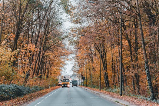 Navigating the Labyrinth: Why a Dedicated Orange County Truck Accident Attorney is Your Strongest Ally