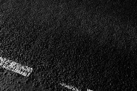 The White Blood Cell Whisperer: Does Intermittent Fasting Mess with Your Immune Sentinels?