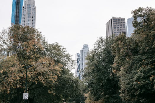 Deciphering the Blueprint: What Every Real Estate Investment Memo Truly Reveals